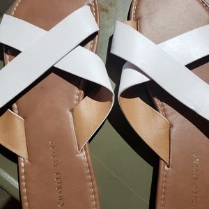 Size XL 10/11 Charles Albert brand.